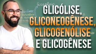 Glicólise Gliconeogênese Glicogenólise e Glicogênese  Apêndice 3  Módulo 7 Fisiologia Humana [upl. by Esylle]