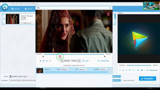 4Videosoft Video Converter Ultimate tutorial How to use Convert any format [upl. by Sibel259]