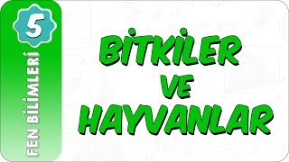 5 Sınıf Fen Bilimleri  Canlılar Dünyası Bitkiler ve Hayvanlar [upl. by Efioa300]