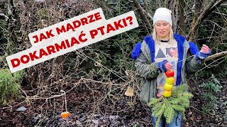 Jak mądrze dokarmiać ptaki Jak przygotować karmę by była też ozdobą Praktyczne pomysły DIY [upl. by Elaweda979]