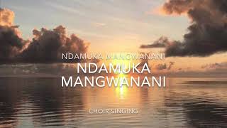 NDAMUKA MANGWANANI join me in supporting this brilliant choir inokomborera [upl. by Fisuoy]