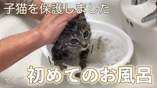 【保護子猫】初めてのお風呂で震えが止まらない子猫 [upl. by Delmer121]