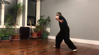 Cheng Style Bagua Baguazhang SwimmingBody Exercise [upl. by Gunilla]