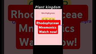 Rhodophyceae mnemonicplantkingdomneet2025 neettamil neetbiology neetchemistryneetphysics [upl. by Adeehsar]