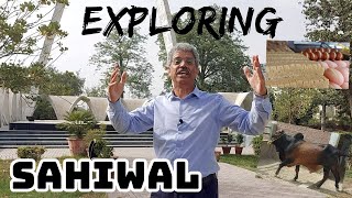 Exploring Sahiwal with Amin Hafeez  Amin Hafeez [upl. by Diann]