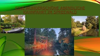 Wir waren auf einer wunderschönen Kahnfahrt am Abend im Spreewald [upl. by Regazzi]