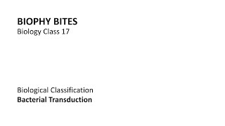 Biology Class 17  Bacterial Transduction [upl. by Thormora]