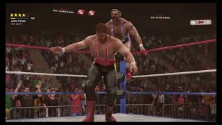 The Steiners vs The Quebecers WWF World Tag Team Championship  WWF World Tour [upl. by Hajile343]