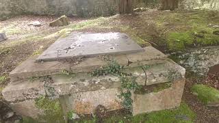 Vaults And Crypts Of Muckross Abbey [upl. by Nnor944]