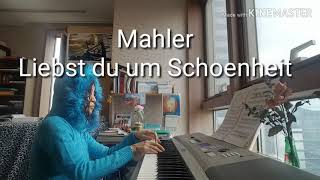 Mahler Liebst du um Schoenheit piano [upl. by Gnuhc397]