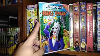 Animated DVD Collection 2021 The P Q amp R Collection [upl. by Mansfield]