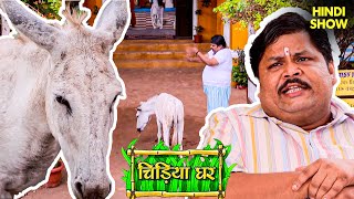 गधाप्रसाद क्यों लाया एक गधे को चिड़ियाघर में  Chidiya Ghar  Comedy  Funny Moment  Tv Shows [upl. by Alithea981]