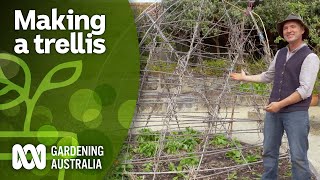 How to build a trellis for your climbing plants  DIY Garden Projects  Gardening Australia [upl. by Ahsieket255]