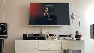 Fyne audio F500 [upl. by Fellows]