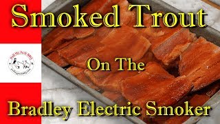 Smoked Trout on The Bradley Electric Smoker [upl. by Eramat]