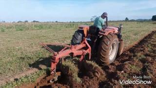 Trator Agrale 4200 lavrando com arado vira chapa de 2 bacias abertas [upl. by Haila696]