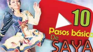 10 Pasos basicos de SAYA [upl. by Ashwin]