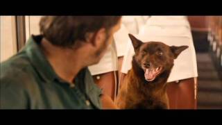 FetchTV  Red Dog Movie Trailer 2011 [upl. by Faubert804]