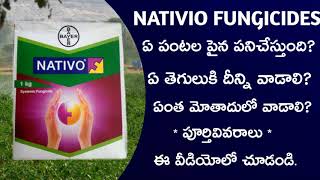 34 Best fungicide ౹ Bayer nativo full information in telugu by telugu raithu tips [upl. by Naik]