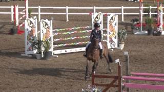 Showjumping  Chepstow International Children On Horses [upl. by Jesh277]