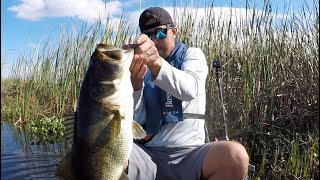 Bass Fishing Headwaters Lake [upl. by Mollee]