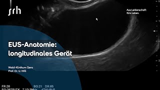 EUS Anatomie longitudinal [upl. by Ariaes]