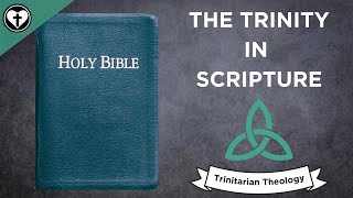 A Biblical Explanation of the Trinity Intro to Trinitarian Theology [upl. by Natanoj]