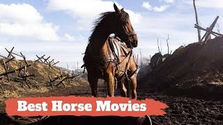 Top 20 Movies Every Horse Lover Should Watch [upl. by Agnimod]