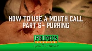 How to Use a Mouth Call Part 5  Purring [upl. by Eanat]