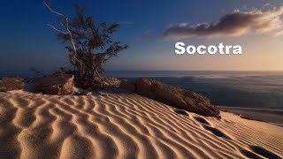 Socotra island [upl. by Anilet]