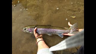 Ohio Steelhead fishingChagrin river [upl. by Letnahc156]