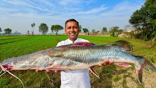 7 KG Big Singhara Fish  Fish Cutting and Cooking in Village  Mubashir Saddique  Village Food [upl. by Treat207]