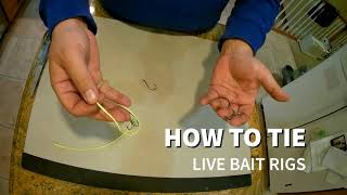 How to Tie Live Bait Rigs for Crawlers Creek Chubs and Leeches  2Hook Rig [upl. by River]