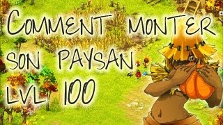 Dofus  Tutoriel  Comment monter son métier de paysan lvl 100 [upl. by Castora]