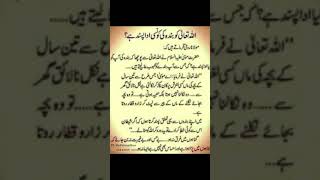 Allah ko apny bandy ke kon se ada psand hy shorts status beautiful [upl. by Hteboj997]