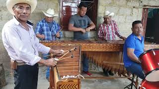 La jarrita y mi ranchito a ritmo de marimba suscribanse a nuestro canal porfas para ir subiendo más [upl. by Amleht286]