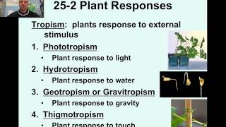 Plant Responses amp Tropisms Video 21 [upl. by Carolann324]