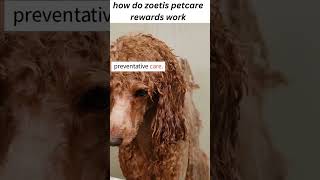 how do zoetis petcare rewards work [upl. by Trebornhoj348]