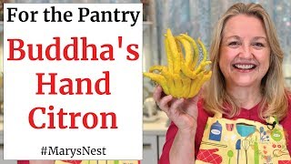 Candied quotBuddhas Handquot Citron  How to Candy Citrus  Candied Citron [upl. by Heise]