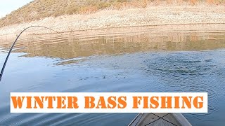 A Great Day Of Bass Fishing At Roosevelt Lake Az Winter Bass Fishing [upl. by Doroteya389]