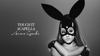 Ariana Grande  Touch It Official Acapella [upl. by Bunker434]