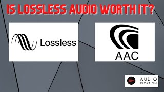 Lossy vs Lossless Audio Explained [upl. by Aiekat544]