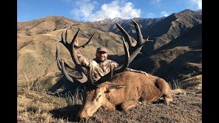 HUNTING GIANT RED STAGS IN NEW ZEALAND [upl. by Soloman]