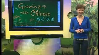 Lesson 06 Growing up with Chinese [upl. by Giselbert]