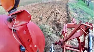 Fall Turn Plowing with the Massey Ferguson [upl. by Py]