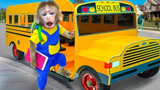 KiKi Monkey tries to catch Magic School Bus in time  KUDO ANIMAL KIKI [upl. by Balbinder814]