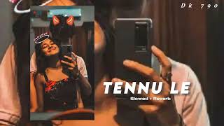 Tennu Le  Slowed and Reverb [upl. by Sonia]