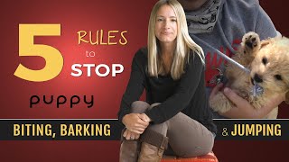 How to Stop Puppy Biting Barking and Jumping [upl. by Eerehc586]