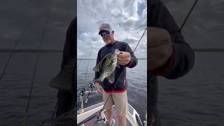 Catching crappie on Stern Planers from Church Tackle Companyfishingcrappiecrappiefishing [upl. by Madaras]