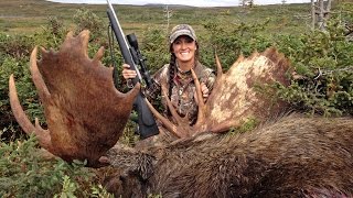 Hunting Newfoundland Moose Moose on the Loose Winchester Deadly Passion [upl. by Siladnerb]